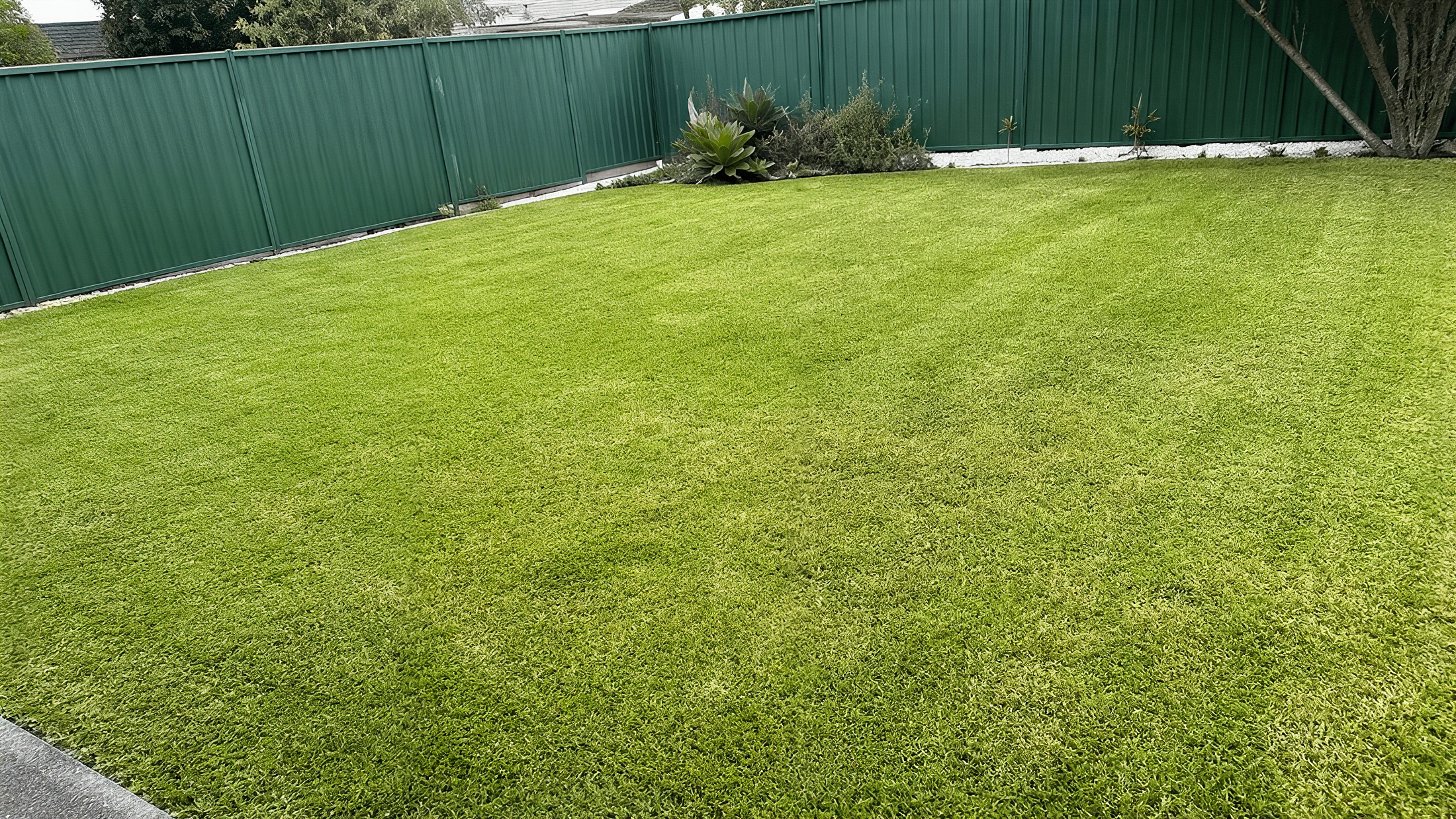 Freshly mown Apex backyard lawn with clean edges along the fence line and garden beds